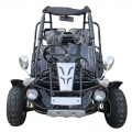 Yetişkin kumsal arabası benzin 300cc siyah 