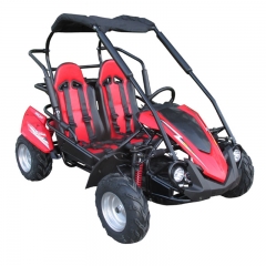 Off Road Buggy yarış çocuklar için