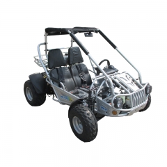 Yetişkin tüm Terrianlı 300cc Karten